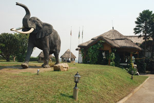 Queen Elizabeth National Park