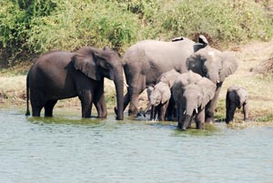 Queen Elizabeth National Park Queen Elizabeth National Park