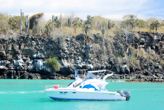Santa Cruz - Haven Puerto Ayora Santa Cruz - Haven Puerto Ayora